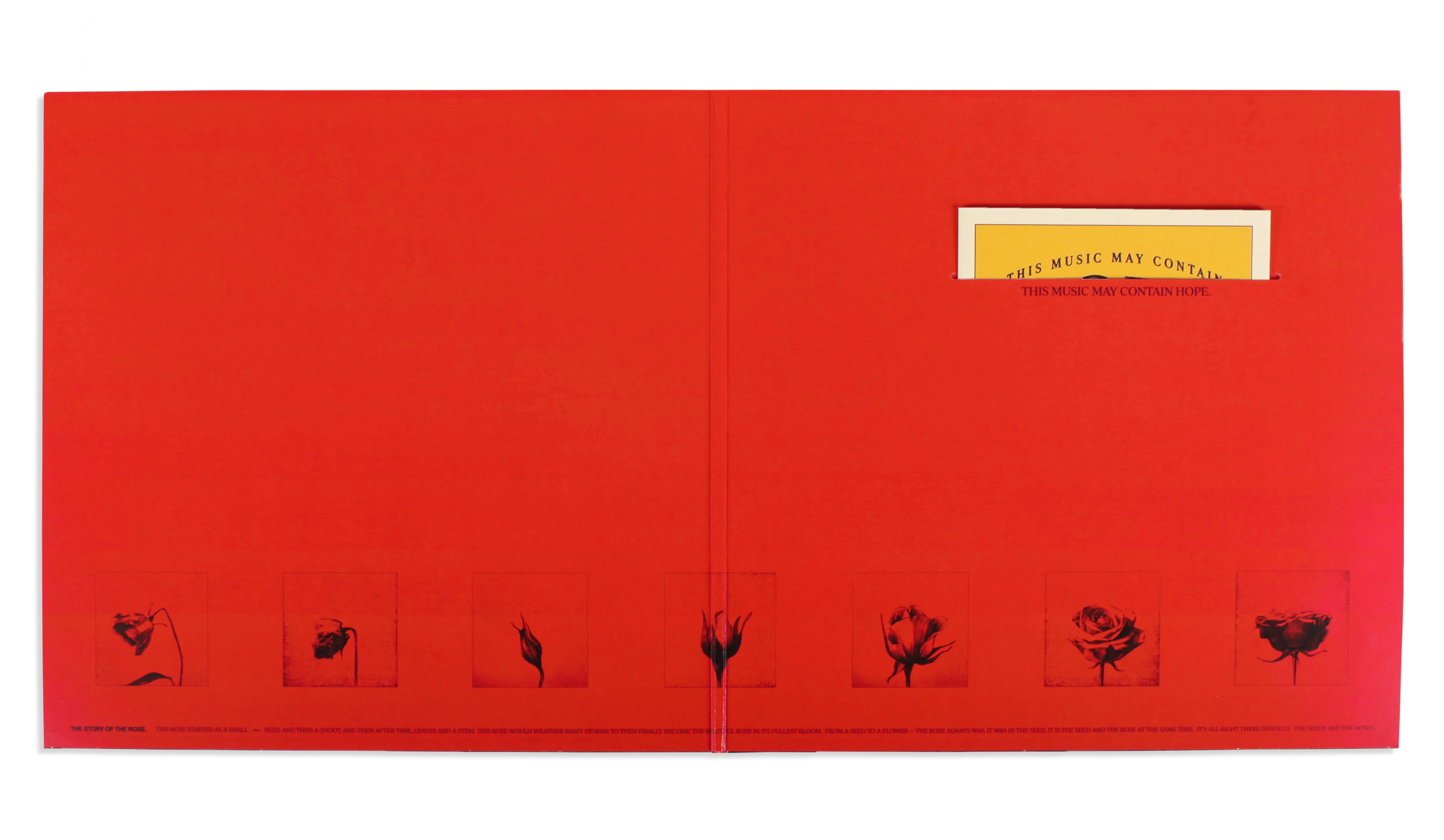 This Music May Contain Hope. | Double Vinyl - Image 6